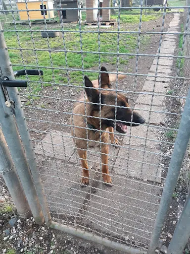 S.p.a. Sté Protectrice des Animaux