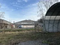 Kauffer Equitation