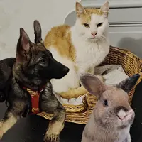 Tistou et les Patounes Vertes