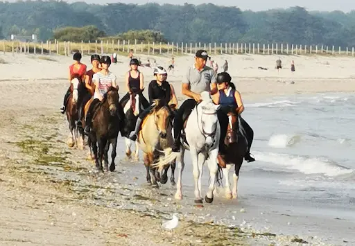 Centre Equestre de Kerblanquet Earl