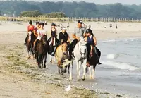 Centre Equestre de Kerblanquet Earl