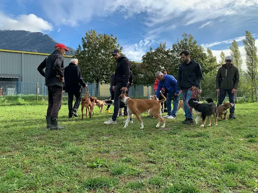 Les Chiens du Paradis - Éducateur et Dresseur Canin Professionnel- Grenoble