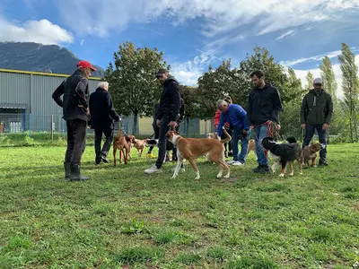 Les Chiens du Paradis - Éducateur et Dresseur Canin Professionnel- Grenoble