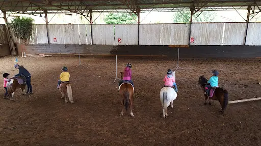 Poney Club du Val de Saone - Centre Equestre de Lyon