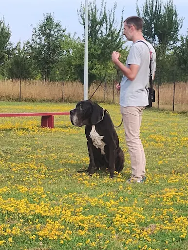 Educateur Canin Mg Douai