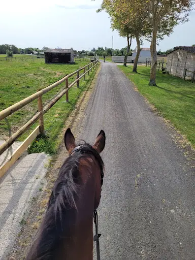 Haras de l'Ilatte Scea