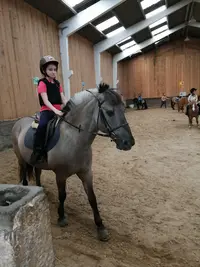 Centre Equestre de Saultain