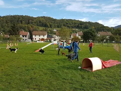 Training Club Canin de la Moselotte