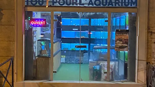Aquarium Service +