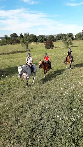 Equi Mel
