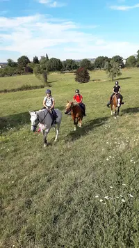 Equi Mel