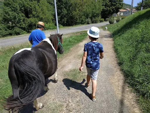Location Chevaux, Poneys
