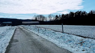 Formule Canine