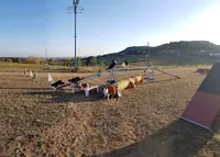 Agility Club Annonay