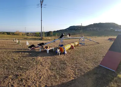 Agility Club Annonay