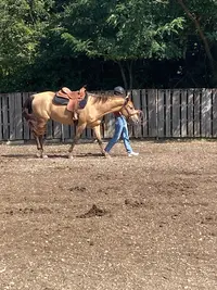 Cmw Ranch