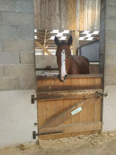 Centre Equestre du Bois Rond