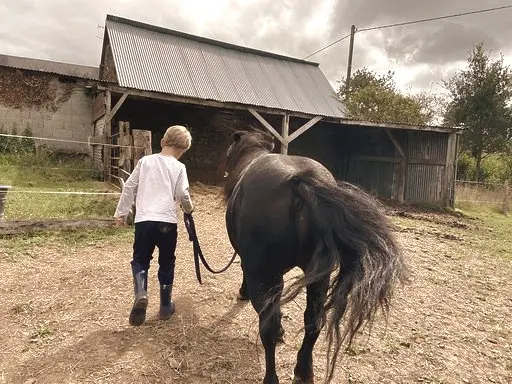 Eco Ferme Pédagogique de Chambesne, Centre Équi Social