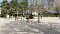 Les Ecuries de Clairis - Ascdc