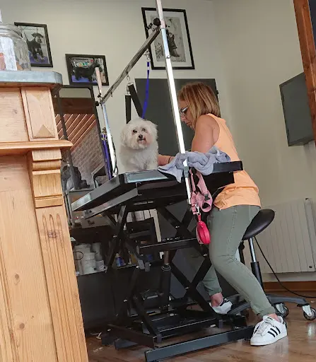 Le Style Canin