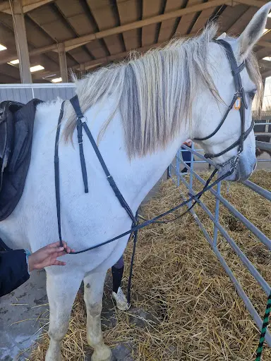 Haras de Savonnières