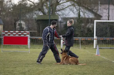 Club Canin de Schirrhein Schirrhoffen