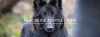 Univers Chien
