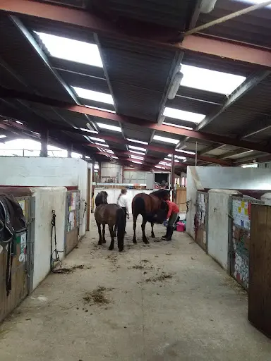 Poney Club la Marfee