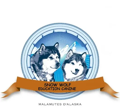Snow Wolf