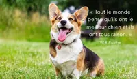 Cani Coach