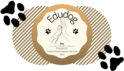 Edudog- Éducateur Comportementaliste Canin/ Félin, Pet-sitting À Domicile