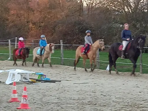 Poney Club : les Poneys des Brumes