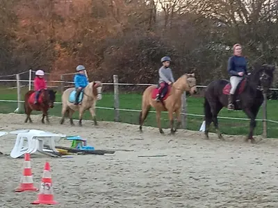 Poney Club : les Poneys des Brumes
