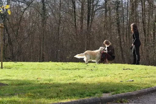 Tm Ton Chien