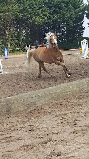 Centre Equestre de Saint-leu