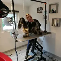 Toiletteur Moby Dog