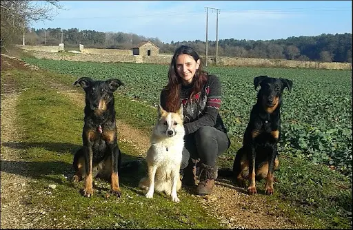 Dog N Co : Comportementaliste Canine et Formatrice