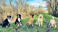 Une Autre Écoute - Education Canine et Équine
