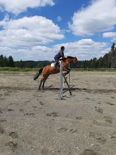 La Cavalerie du Lac