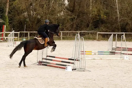 Elevage des Petits Marais