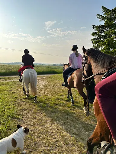 Centre Equestre de Semur en Auxois