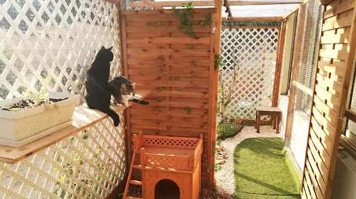Natur Cat Pension Pour Chats