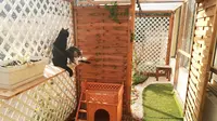 Natur Cat Pension Pour Chats
