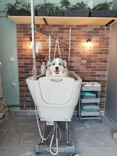 Natur Dog Toilettage