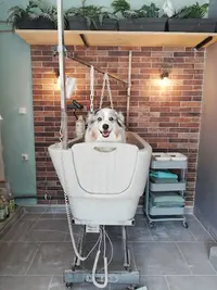 Natur Dog Toilettage