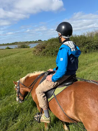 Balade À Cheval Golfe du Morbihan