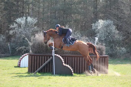 Ecuries de Saint-maurice