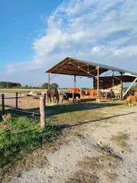 Poney Club Annabelle