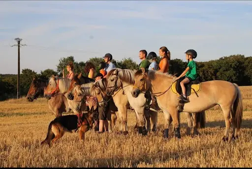 Tout Fer À Cheval