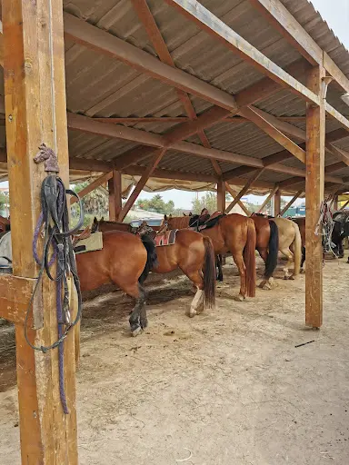 Ranch le Petit Sam
